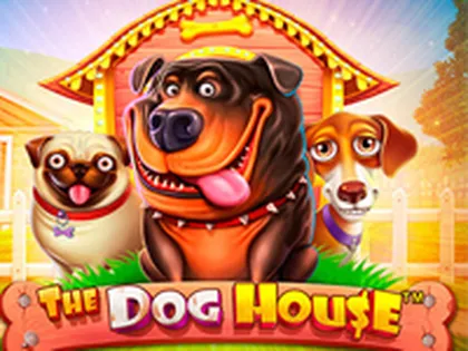 Jogo do foguete que da dinheiro