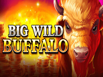 Betfair bonus